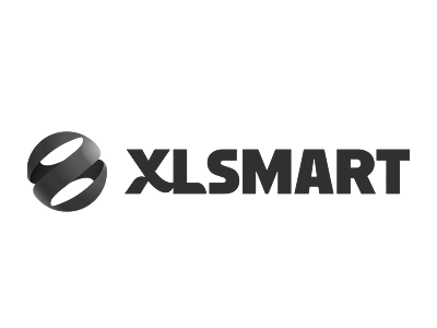 XLSMART